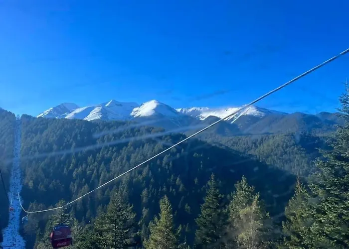 Royal Towers Private V&k *